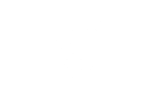 City of Detroit