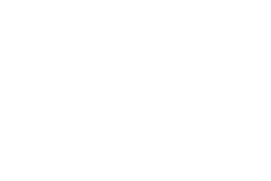 Dream.org