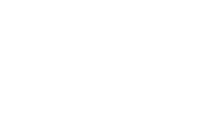 VilCap