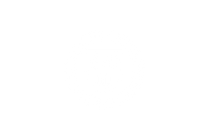 IIT
